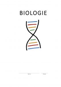 Deckblatt Biologie DNA-Strang
